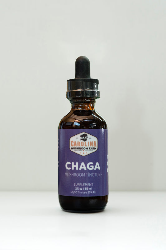 Chaga - Boost immune system and reduce inflammation