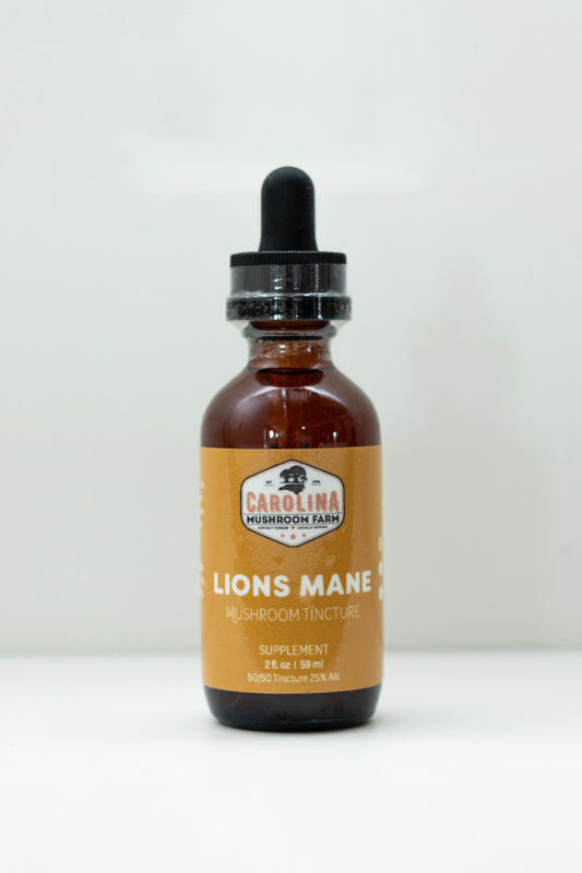 Lions Mane - Nervous System & Memory Support