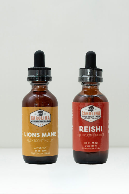 Brain Health Bundle