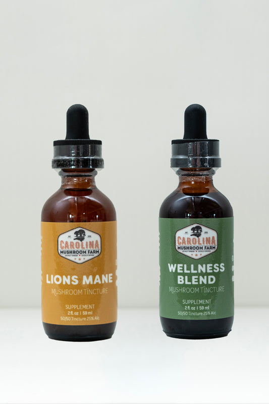 Gut Health Bundle